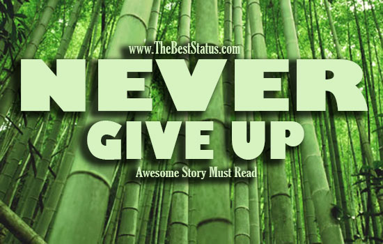 NEVER-NEVER-GIVE-UP